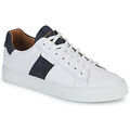 Baskets basses Schmoove SPARK GANG