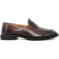 Mocassins Alberto Fasciani ZEN 53022 EDISON MARRONE
