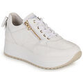 Baskets femme sur Grenoble : Baskets basses NeroGiardini E306371D-707