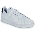 Baskets basses adidas ADVANTAGE Blanc