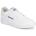 Baskets basses Reebok Classic WORKOUT PLUS Grenoble