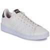 Baskets basses adidas ADVANTAGE Beige