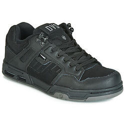 Chaussures de Skate DVS ENDURO HEIR