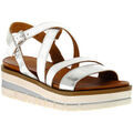 Chaussures Grunland BIANCO I8FAMA