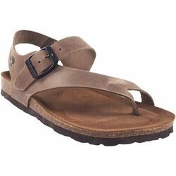 Chaussures Interbios sandale femme taupe INTER BIOS 7162