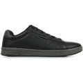 Baskets homme sur Grenoble : Baskets Skechers Cavell Hensley