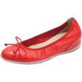 Chaussures d&eacute;contract&eacute;es femme sur Grenoble : Ballerines Wonders A-1101 Sauvag