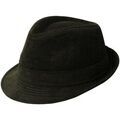 Chapeaux sur Grenoble : Chapeau Chapeau-Tendance Chapeau trilby VELOURIS T58