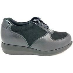 Derbies Pinoso's BLUCHER 7673-H NOIR