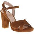 Chaussures escarpins Sofia Costa 1438