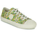Baskets basses Ted Baker TANTAN Multicolore