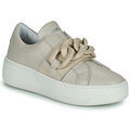 Baskets femme sur Grenoble : Baskets basses Meline PF1500