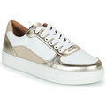 Baskets basses Cosmo Paris GEENA-TRI Grenoble