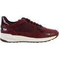 Baskets basses Geox Basket Cuir Airell