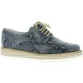 Derbies Elizabeth Stuart Derby cuir python