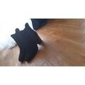 Bottes femme sur Grenoble : Bottines Maison Minelli Bottines daim