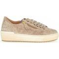 Baskets femme sur Grenoble : Baskets Gabor Baskets en cuir