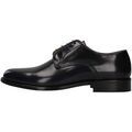 Derbies Fedeni 901OV