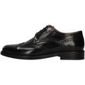 Derbies Fedeni 916 Grenoble