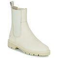 Sports d'hiver sur Grenoble : Boots Art GRAZ