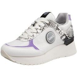Baskets basses Colmar Baskets Femme Travis Enigma ref 56560 Multi