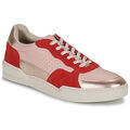 Baskets basses Fericelli DAME Grenoble