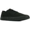 Baskets homme sur Grenoble : Baskets DC Shoes Flash 2 TX