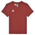 Tee-shirts enfants sur Grenoble : T-shirt enfant adidas ENT22 TEE Y