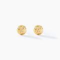 Boucles d'oreille sur Grenoble : Histoire d'Or Boucles D'oreilles Puces Bernia Or Jaune
