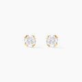 Histoire d'Or Boucles D'oreilles Puces Eddie Or Jaune Oxyde De Zirconium