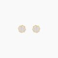 Histoire d'Or Boucles D'oreilles Puces Or Jaune Gontranie