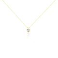 Colliers sur Grenoble : Histoire d'Or Collier Aodren Or Jaune Oxyde De Zirconium