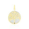 Pendentifs sur Grenoble : Histoire d'Or Pendentif Or Jaune Noamie Nacre