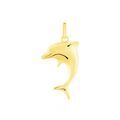 Pendentifs sur Grenoble : Histoire d'Or Pendentif Haizia Dauphin Or Jaune