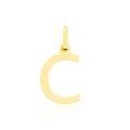 Pendentifs sur Grenoble : Histoire d'Or Pendentif Ionia Lettre Or Jaune