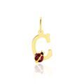 Pendentifs sur Grenoble : Histoire d'Or Pendentif Helidie Coccinelle Lettre Or Jaune