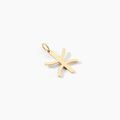 Pendentifs sur Grenoble : Histoire d'Or Pendentif Cobeia Kabyle Or Jaune