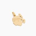 Pendentifs sur Grenoble : Histoire d'Or Pendentif Pietronella Or Jaune
