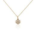 Colliers sur Grenoble : Histoire d'Or Collier Rhosyn Plaqu&eacute; Or Jaune Oxyde De Zirconium