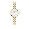 Montre Daniel Wellington Elan Lumine Blanc