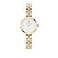 Montres sur Grenoble : Montre Daniel Wellington Elan Lumine Blanc