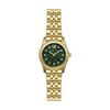 Montre Michael Kors Petite Lexington Vert