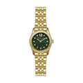 Montres sur Grenoble : Montre Michael Kors Petite Lexington Vert