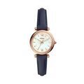 Montres sur Grenoble : Montre Fossil Carlie Nacre