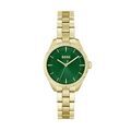Montres sur Grenoble : Hugo Boss Montre Boss Sage Vert