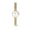 Montre Daniel Wellington Petite Mini Blanc