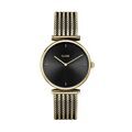 Montres sur Grenoble : Montre Cluse Triomphe Noir