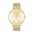 Montres sur Grenoble : Montre Calvin Klein Timeless Multi Champagne