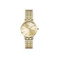 Montres sur Grenoble : Montre Rosefield Small Edit Champagne