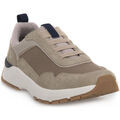 Baskets Lumberjack CN003 TRAVIS II